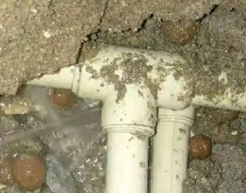 佛山市测漏水多少钱