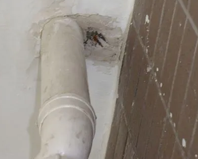 佛山市漏水检测哪家好